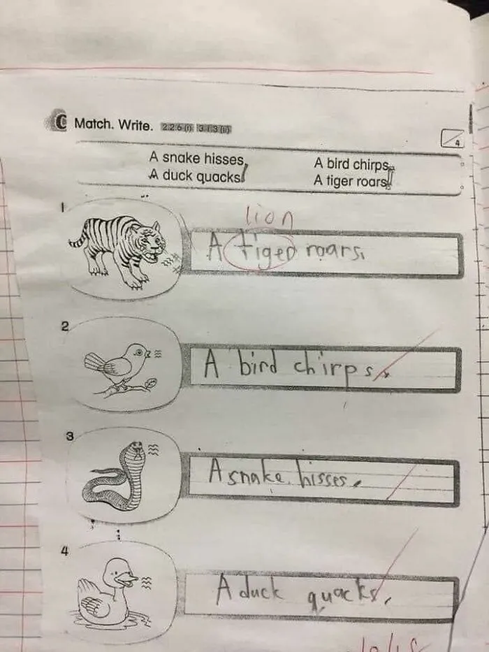 Lion Wasn’t Even An Option