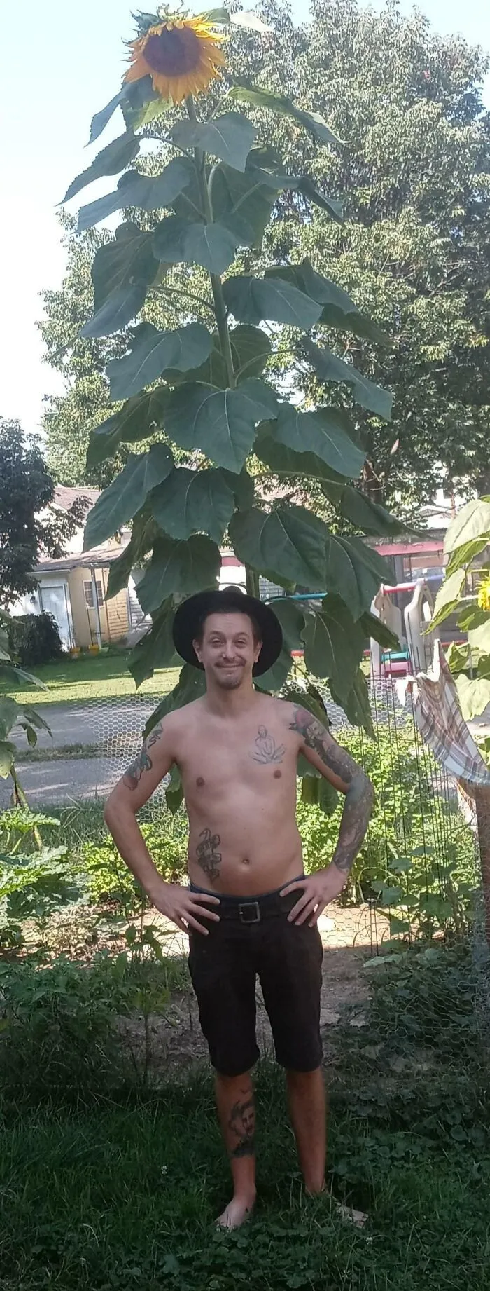 Grew This Beautiful Giant From A Seed. Absolutely Thrilled. This Is By Far My Pride And Joy