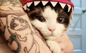 91 Funny Tattoos That One Can't Help But Laugh At
