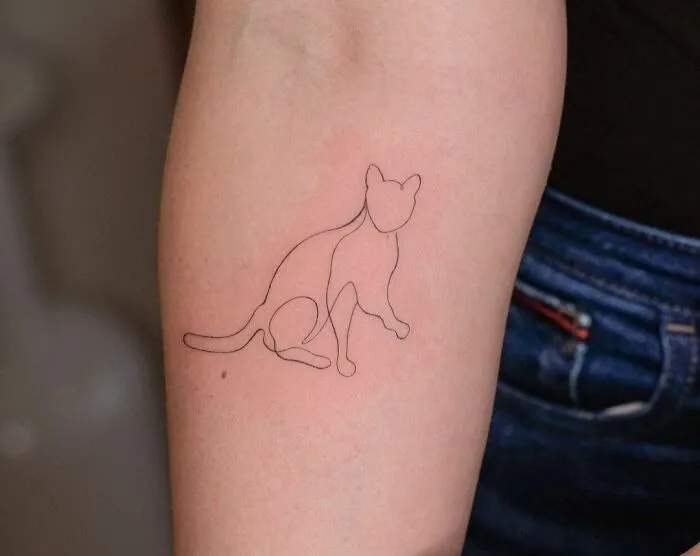 Single-line tattoo of a cat on an arm, showcasing fine-line art.