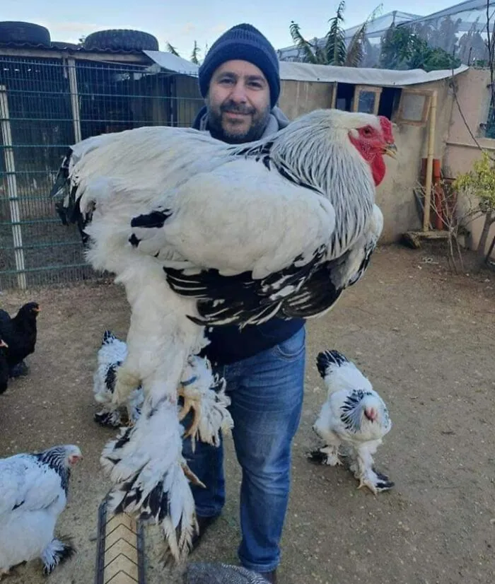 Behold