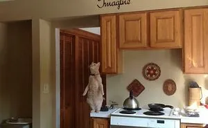 113 Photos That May Convince You Cats Can Defy Gravity