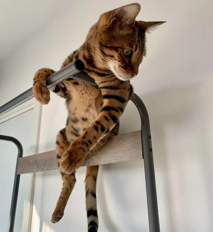 Just Chilling