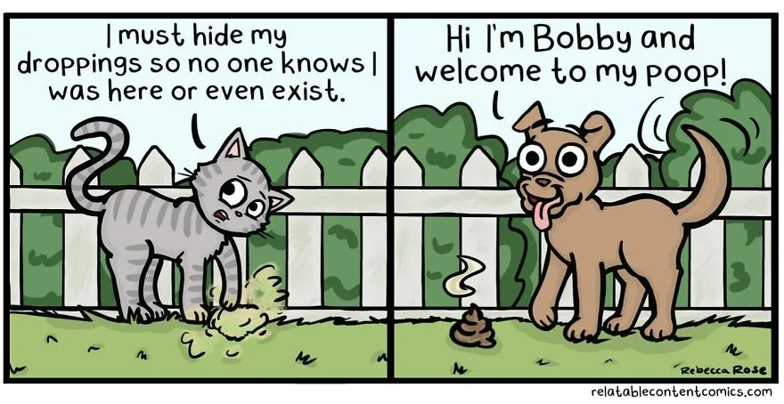50 Funny And Cute Comics Inspired By The Artist's Life With Her Boyfriend And 3 Cats