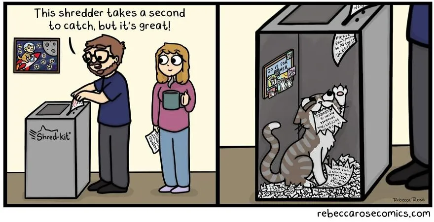 50 Funny And Cute Comics Inspired By The Artist's Life With Her Boyfriend And 3 Cats
