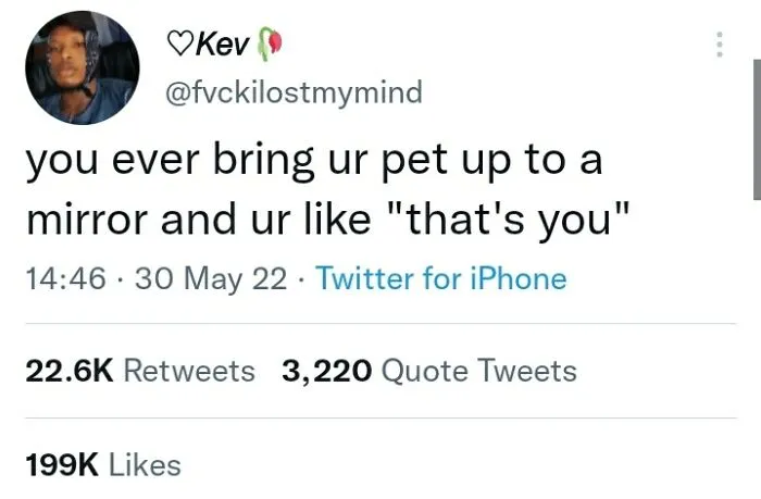 That's When You Know They Have Lost It