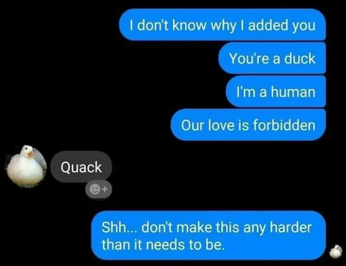 Right In The Feels