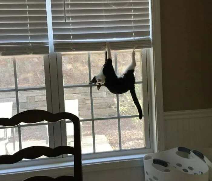 I Have No Idea How