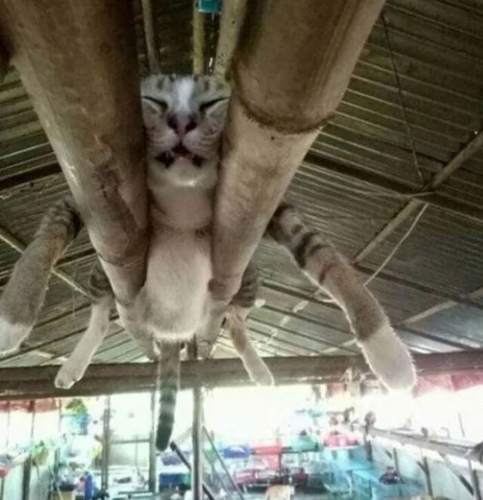 Mission Impossible