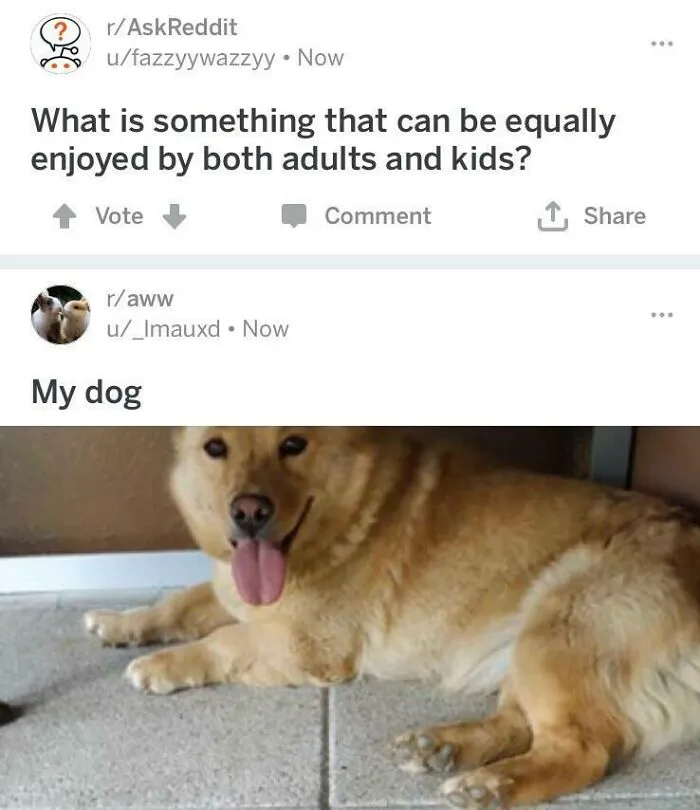 An R/Askreddit Post Answered Itself