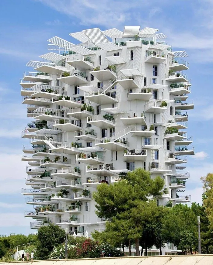 L'arbre Blanc In Montpellier, France