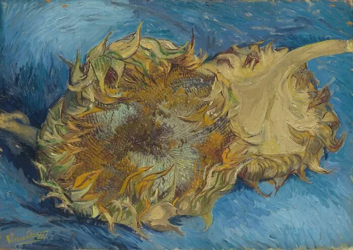 Sunflowers By Vincent Van Gogh