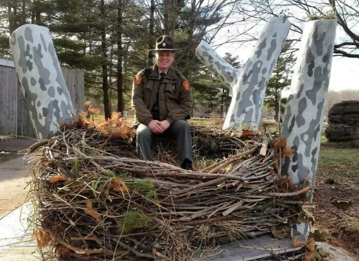 Bald Eagle Nests Are Generally 5 Feet Wide And 3 Feet Deep