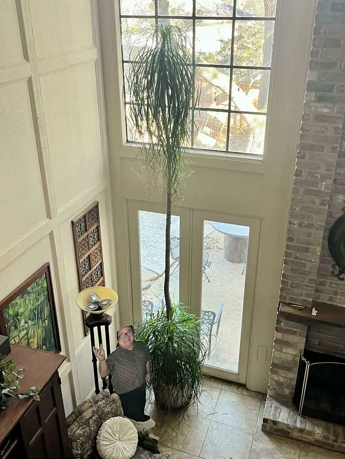 Danny Devito For Scale