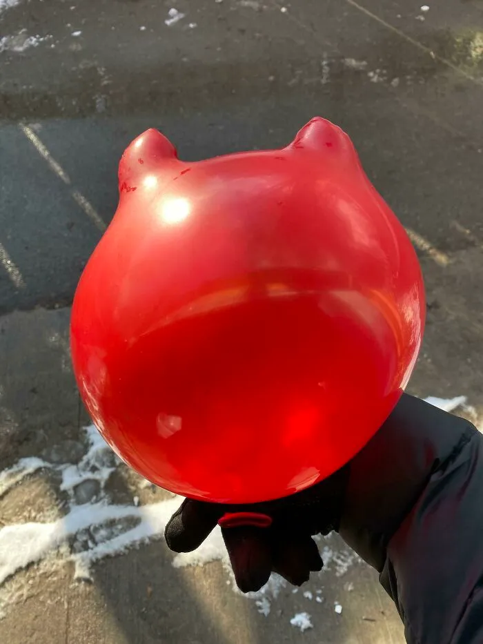 Iba a regalarle a mi madre un globo de San Valentín porque vive sola, pero esto es lo que llegó por correo