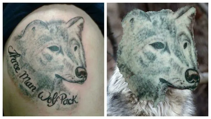 Terrible tattoo of a wolf with text "Three Man Wolf Pack" alongside the original wolf image for comparison.