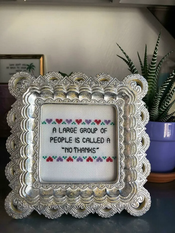 Silver frame with cross-stitch message about social anxiety, surrounded by colorful flowers, beside a potted plant.
