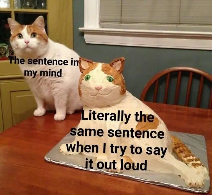 Cat meme humorously depicting social anxiety with text on a real cat and a cake cat.