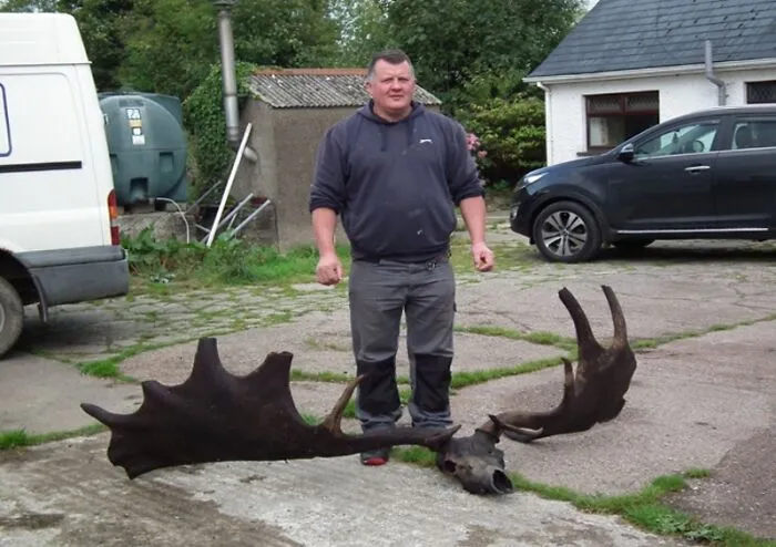 10,000 Year Old Skull And Antlers Of An Extinct Elk Found By Fishermen In Ireland