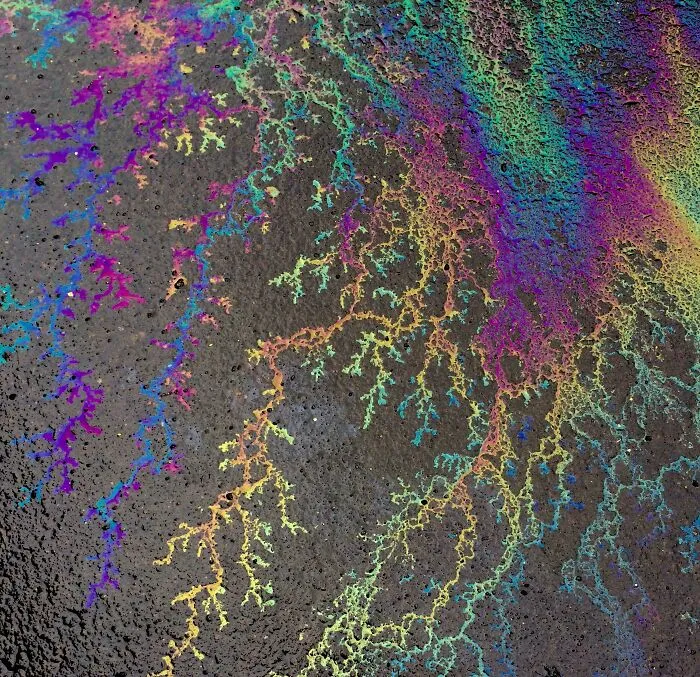 The Way The Oil And Rain Created This Electric Masterpiece