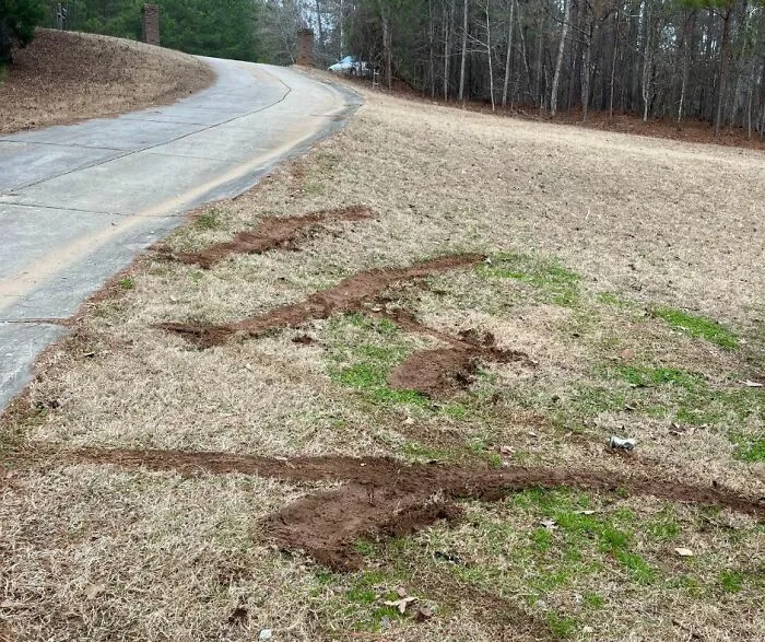 Amazon Drivers Damaging Yard