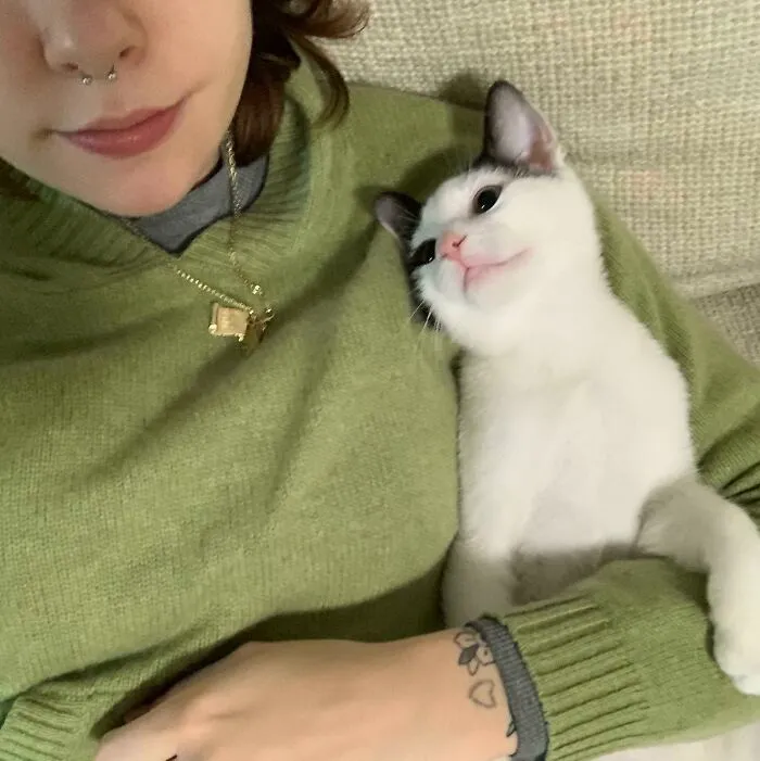 The Way My Shelter Kitten Looks At Me!