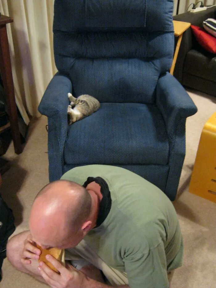 My Husband: Just Chuck The Cat Off You Want To Sit Down. Also My Husband: She's Asleep! I'm Fine Eating Dinner On The Floor