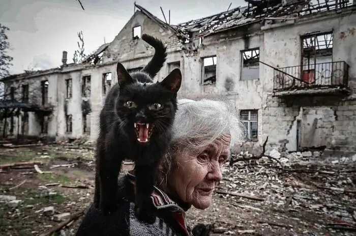 A Selection Of The Most Striking Images Of The Animal Kingdom For A Bit Of Entertainment And Giggles (30 New Pics)