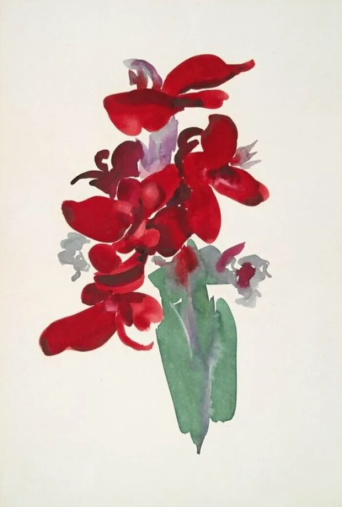 Red Canna By Georgia O’Keeffe
