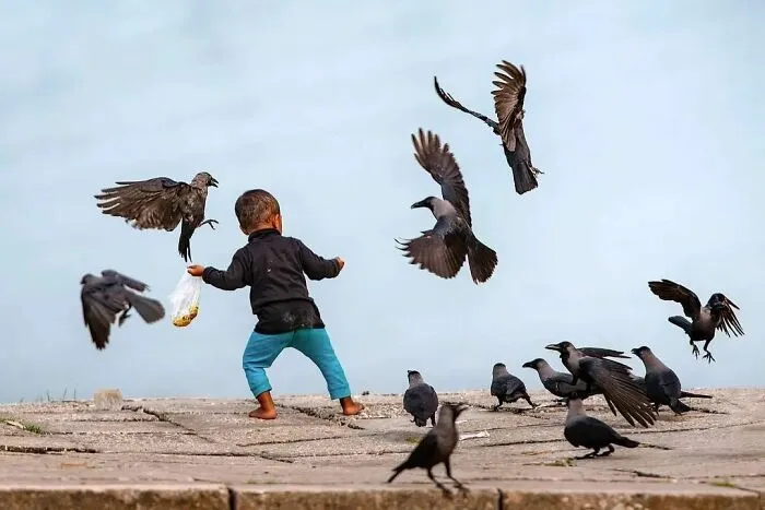 A Selection Of The Most Striking Images Of The Animal Kingdom For A Bit Of Entertainment And Giggles (30 New Pics)