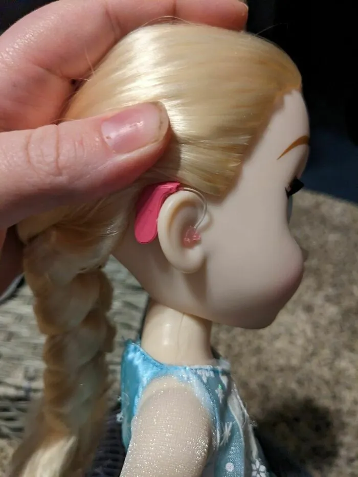 Wife And I (Mostly Her) Added Hearing Aids To Our Niece's Gift. They Match Hers