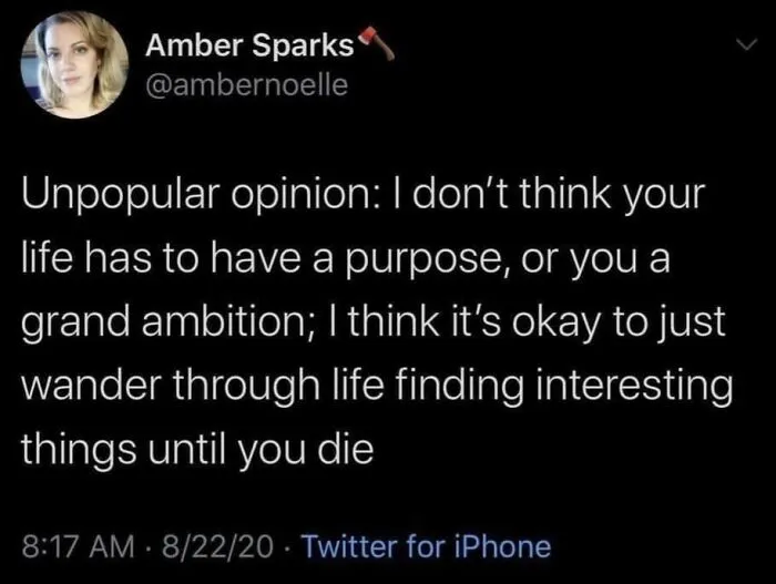 50 Memes For Those Who Have Chosen A Childfree Lifestyle, As Shared By This Facebook Page (New Posts)