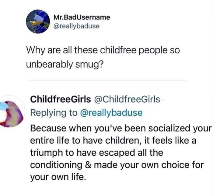 50 Memes For Those Who Have Chosen A Childfree Lifestyle, As Shared By This Facebook Page (New Posts)