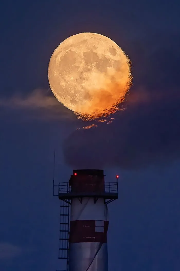 Gold 2022 Editorial / Environmental, "Melting Moon"