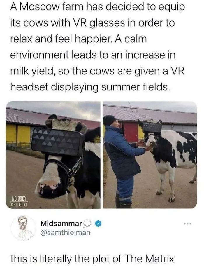 How Long Until They Get Ones For Chickens?