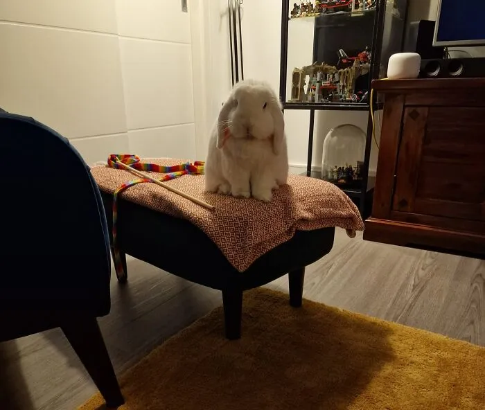 There's A Reason There's A Blanket Here