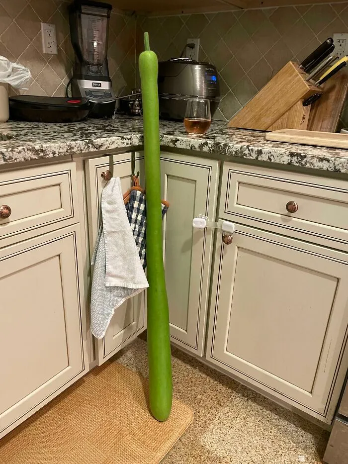 Nos las dio un vecino asiático que las cultiva en casa