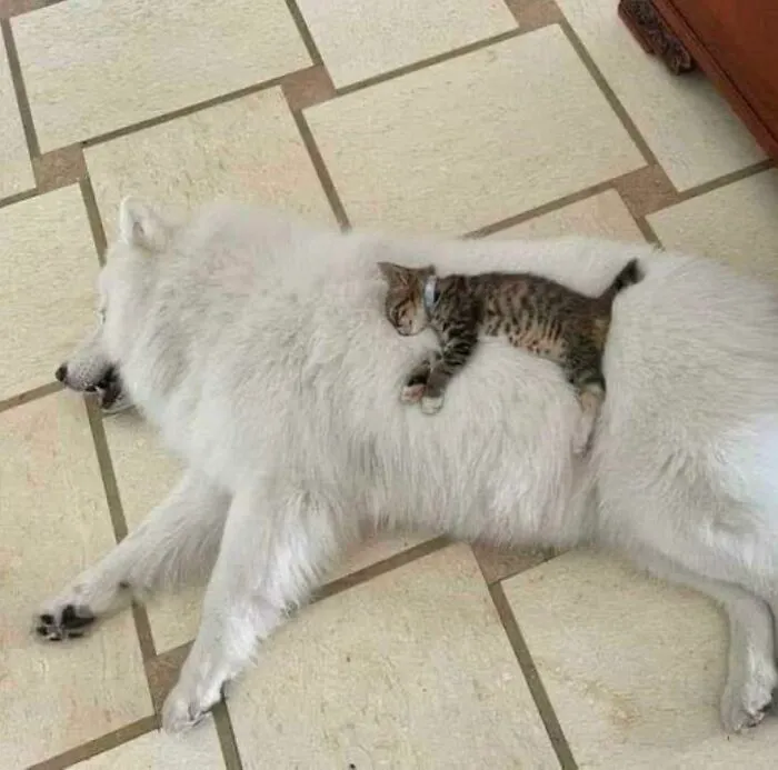 Now That’s A Great Place To Be!