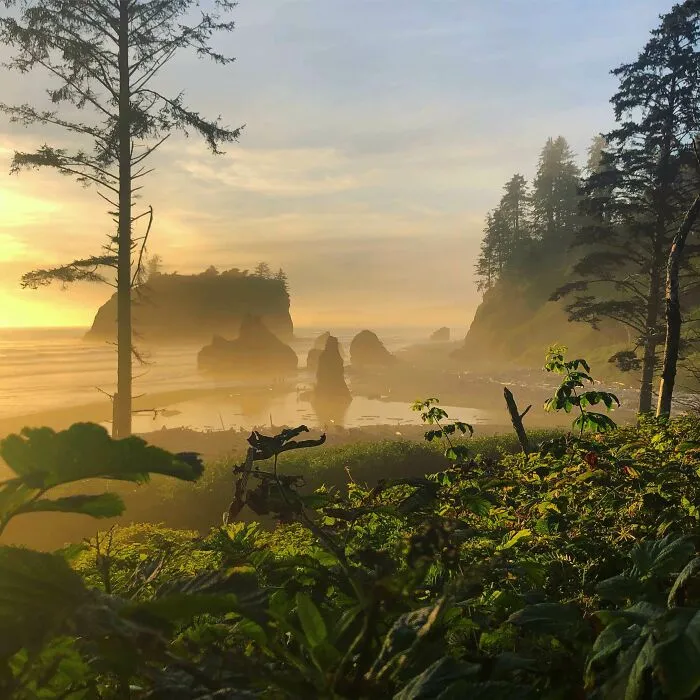 Ruby Beach, WA. Looks Like Jurassic Park