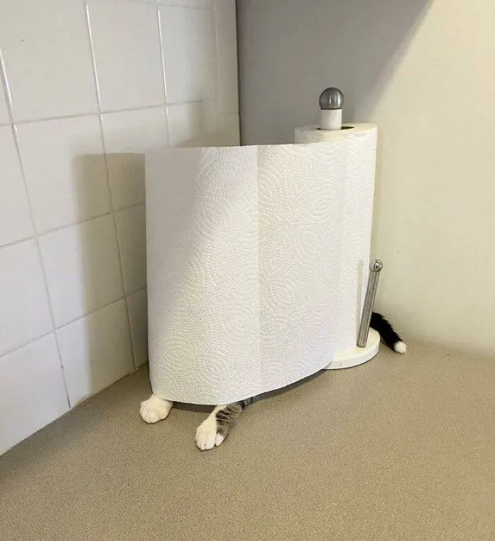 Truly A Master Of Disguise