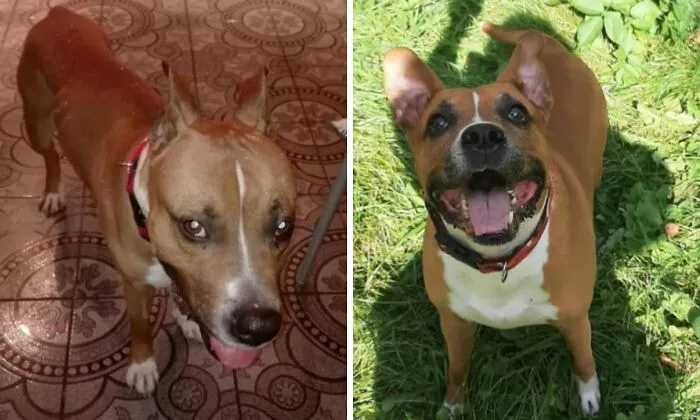 The Day He Was Rescued vs. Now