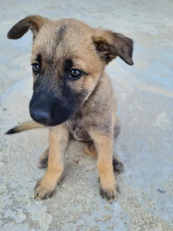 Look Who We Adopted!!!