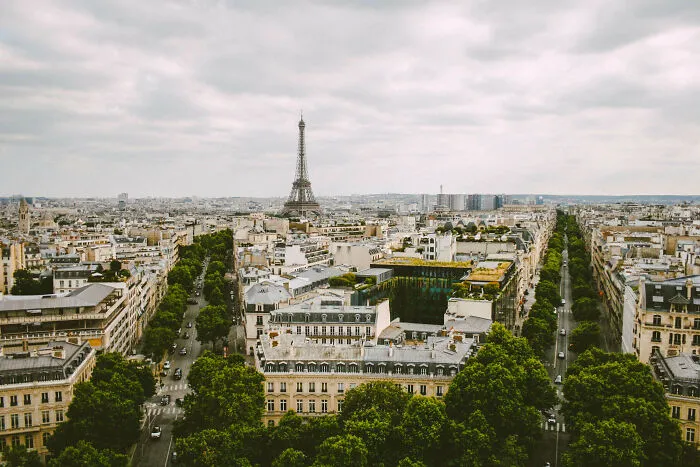 Tree Counting Is An Official Job In Paris