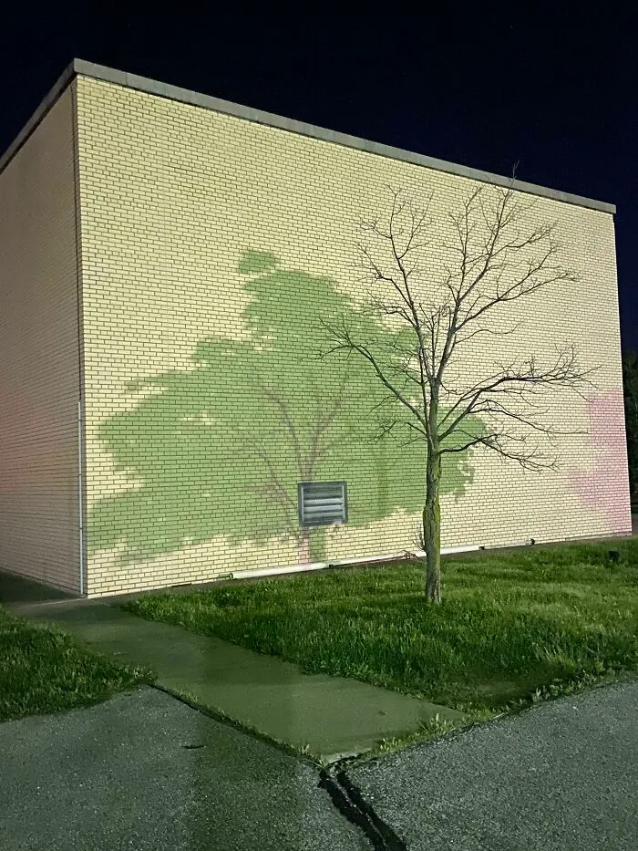 This Shadow From Two Different Trees In My Parking Lot