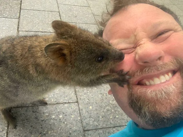 My Quokka Selfie