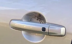 This Online Community Celebrates The Land Of ‘Nope’, Here Are 34 Of The Best Posts (New Pics)