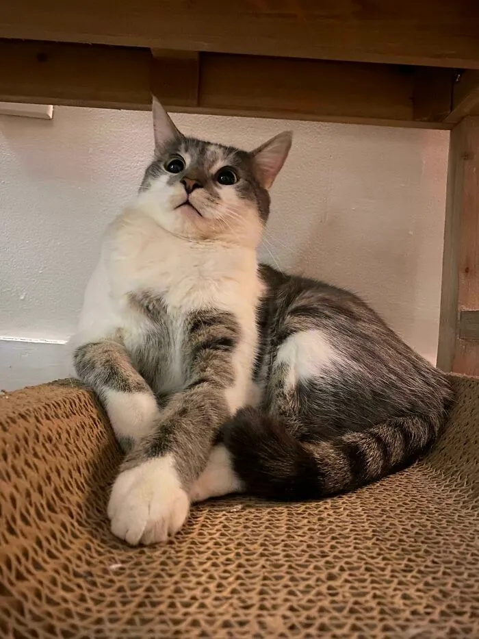 His Reaction When I Told Him He Was Adopted …