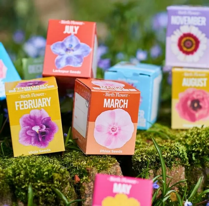 Birth flower seed boxes for July, February, and March, perfect Valentine's Day gifts to express love and affection.