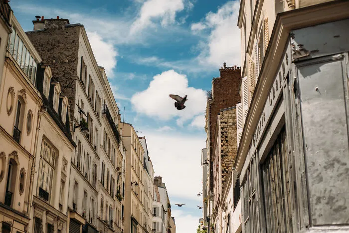 Narrow street of Paris from above 