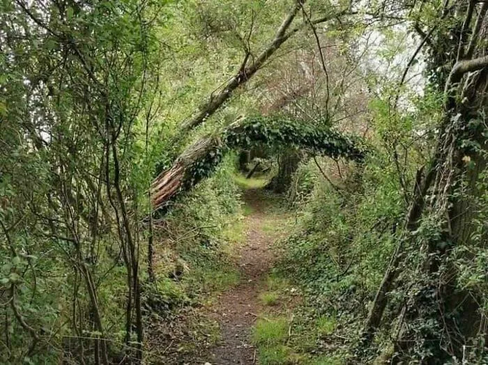 Art By Nature